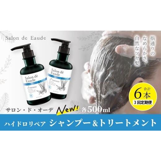 ふるさと納税 石鹸 液体せっけん 高知県 四万十市 3回 定期便 サロン・ド・オーデ ハイドロリペア シャンプー & トリートメント 各 500ml 2本 セット 合計 6…