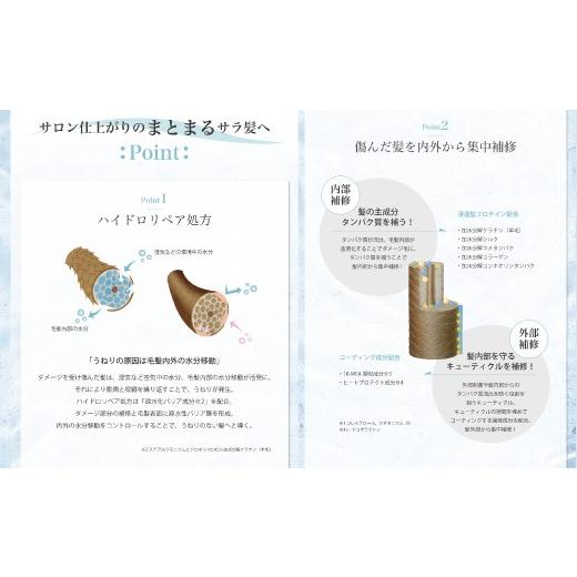 ふるさと納税 石鹸 液体せっけん 高知県 四万十市 12回 定期便 サロン・ド・オーデ ハイドロリペア シャンプー ＆ トリートメント 各 500ml 2本 セット 合計 2…
