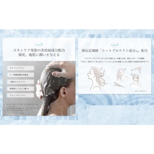 ふるさと納税 石鹸 液体せっけん 高知県 四万十市 12回 定期便 サロン・ド・オーデ ハイドロリペア シャンプー ＆ トリートメント 各 500ml 2本 セット 合計 2…