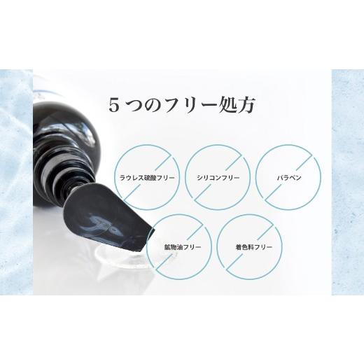 ふるさと納税 石鹸 液体せっけん 高知県 四万十市 12回 定期便 サロン・ド・オーデ ハイドロリペア シャンプー ＆ トリートメント 各 500ml 2本 セット 合計 2…