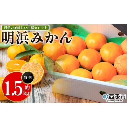 ふるさと納税 果物類 みかん 愛媛県 西予市 西予の美味しい柑橘セレクト(特選)/明浜みかん(約1.5kg) 果物 くだもの フルーツ 蜜柑 みかん ミカン 柑橘 …