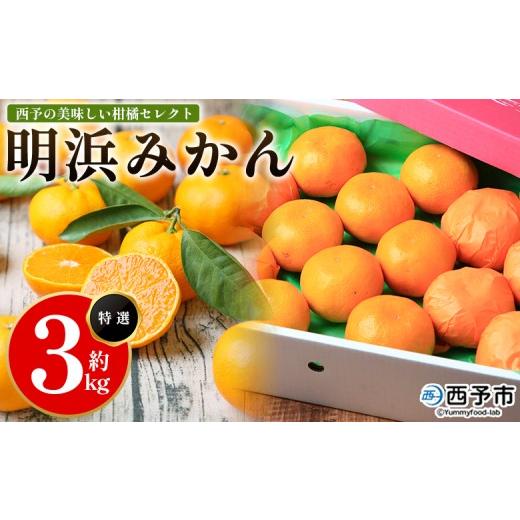 ふるさと納税 果物類 みかん 愛媛県 西予市 先行予約 西予の美味しい柑橘セレクト(特選)/明浜みかん(約3kg) 果物 くだもの フルーツ 蜜柑 みかん ミカン…
