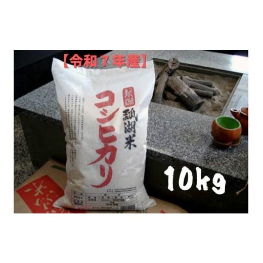 ふるさと納税 米 コシヒカリ 新潟県 阿賀野市 令和7年産新米予約 新潟産 コシヒカリ 「瓢湖米」 10kg 11月上旬より順次発送予定 米 こめ コメ 精米 白米 新潟…
