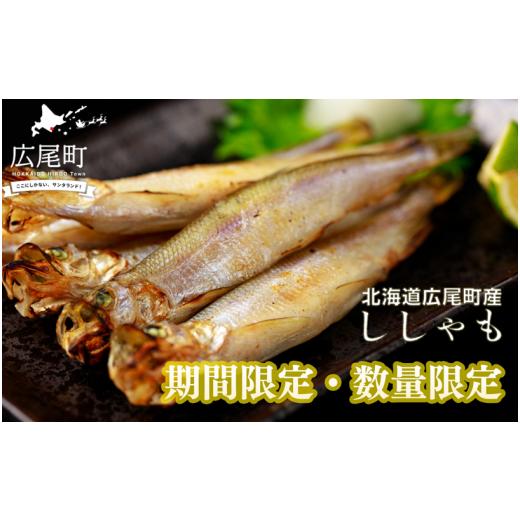 ふるさと納税 魚貝類 ししゃも 北海道 広尾町 期間限定価格・数量限定 岡嶋水産 生乾ししゃも中メス30尾(C0041)