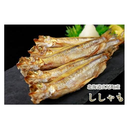 ふるさと納税 魚貝類 ししゃも 北海道 広尾町 岡嶋水産 生乾しししゃも中オス40尾(C0040)