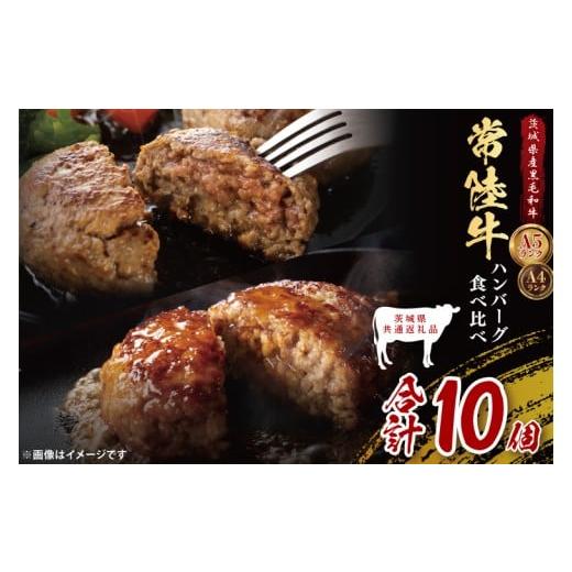 ふるさと納税 牛肉 茨城県 大子町 茨城県共通返礼品 常陸牛100% vs 常陸牛入りハンバーグの食べ比べセット (計10個入り)常陸牛使用|ブランド牛 銘柄牛 和…