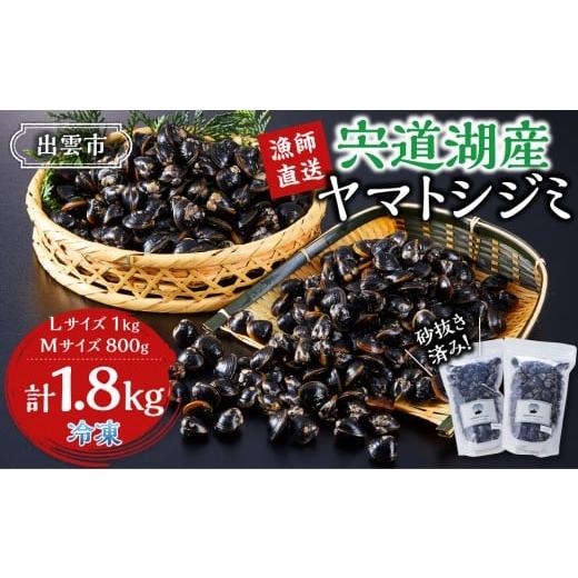 ふるさと納税 魚貝類 しじみ 島根県 出雲市 漁師直送 宍道湖産ヤマトシジミ・食べ比べ1.8kg(Lサイズ1kg+Mサイズ0.8kg)