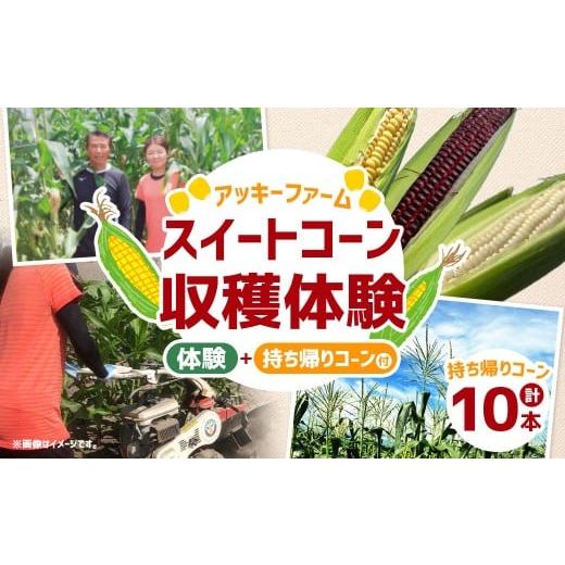 ふるさと納税 体験チケット 福岡県 みやま市 F4 アッキーファーム スイートコーン収穫体験 (スイートコーン10本込み) とうもろこし トウモロコシ 野菜 やさ…