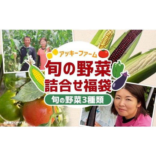 ふるさと納税 セット・詰合せ 福岡県 みやま市 A322 アッキーファームの旬の野菜詰合せ福袋 (野菜3種) 詰め合わせ セット 季節 旬 お楽しみ 野菜 やさい な…