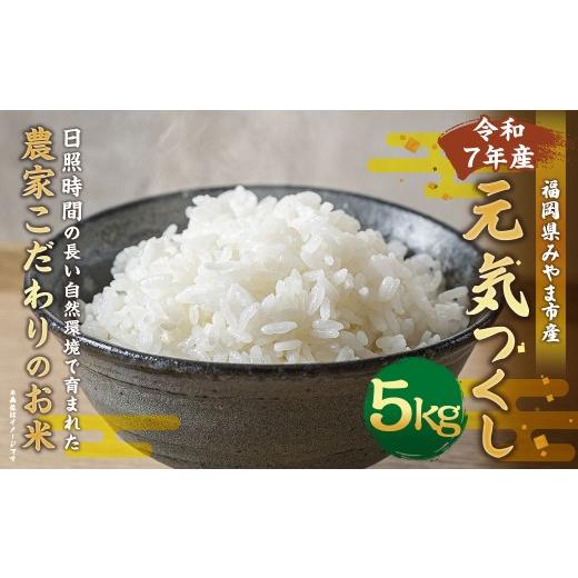 ふるさと納税 米 福岡県 みやま市 A324 令和7年産 アッキーファームのお米「元気つくし」 5kg 白米 げんきつくし お米 こめ 精米 単一原料米 ごはん ご飯 福岡…