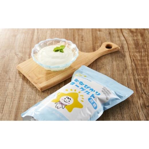 ふるさと納税 加工品等 富山県 南砺市 長時間醗酵&長時間冷却でモッチり体験 ななぴかりヨーグルト 無糖たっぷりセット