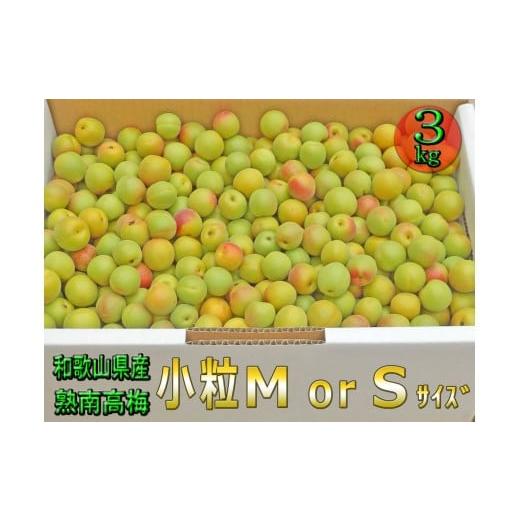 ふるさと納税 果物類 和歌山県 高野町 [梅干・梅酒用]小粒(SまたはM-3Kg)熟南高梅 2026年6月下旬〜7月中旬発送予定 フルーツ 果物 くだもの 食品 人気 お…