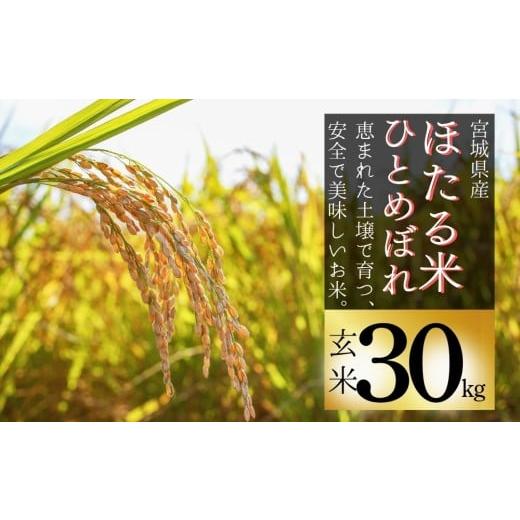 ふるさと納税 米 ひとめぼれ 宮城県 東松島市 令和7年産米 ほたる米 ひとめぼれ 玄米 30kg 特別栽培米 宮城県産 お米 ごはん 新米 米 朝ごはん こめ コメ オ…