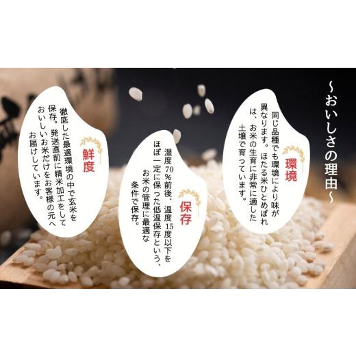 ふるさと納税 米 ひとめぼれ 宮城県 東松島市  令和7年産米 ほたる米 ひとめぼれ 玄米 30kg 特別栽培米 宮城県産 お米 ごはん 米 朝ごはん こめ コメ オンライ…の画像