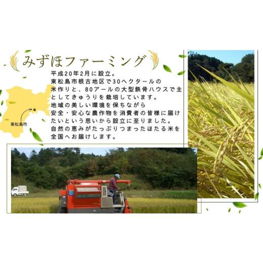 ふるさと納税 米 ひとめぼれ 宮城県 東松島市  令和7年産米 ほたる米 ひとめぼれ 玄米 30kg 特別栽培米 宮城県産 お米 ごはん 米 朝ごはん こめ コメ オンライ…の画像