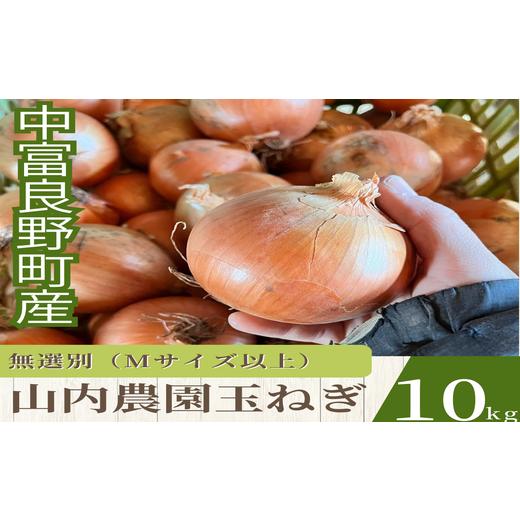 ふるさと納税 メロン メロン赤肉 北海道 中富良野町 2026年発送 山内農園の無選別たまねぎ 10kg