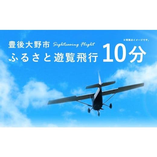 ふるさと納税 体験チケット 大分県 豊後大野市 059-262x1 豊後大野市 ふるさと遊覧飛行 10分 (3人まで搭乗可)