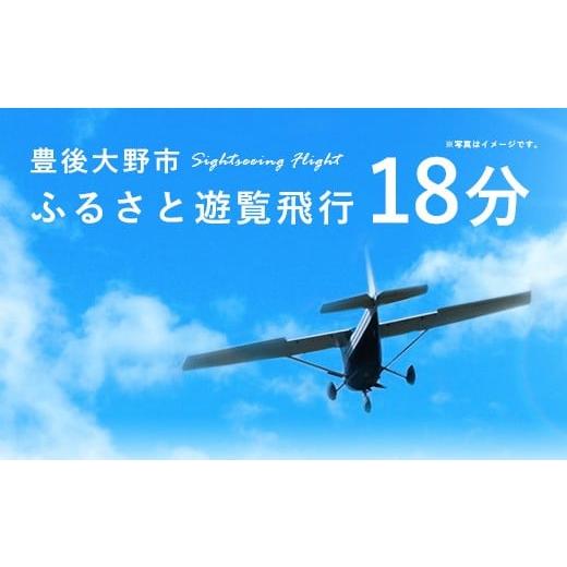ふるさと納税 体験チケット 大分県 豊後大野市 059-263x1 豊後大野市 ふるさと遊覧飛行 18分(3人まで搭乗可)