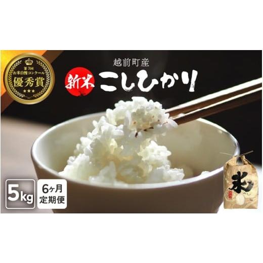 ふるさと納税 米 コシヒカリ 福井県 越前町 令和7年産・新米 定期便 6ヶ月連続お届け お米 こしひかり 5kg×6回(計30kg)(精米) 福井県産 炊きたての美味…