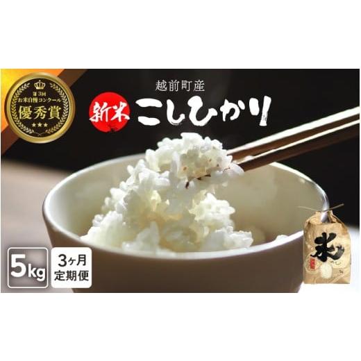 ふるさと納税 米 コシヒカリ 福井県 越前町 令和7年産・新米 定期便 3ヶ月連続お届け 数量・期間限定 お米 こしひかり 5kg×3回(計15kg)(精米)福井県産 …