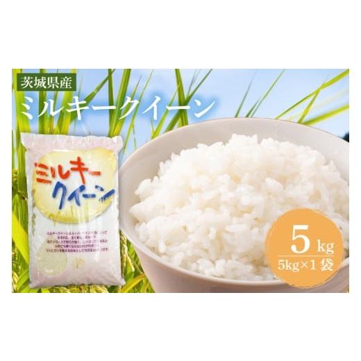 ふるさと納税 米 ミルキークイーン 茨城県 鹿嶋市 茨城県産ミルキークイーン 5kg (5kg×1袋) 米 お米 白米 精米 おにぎり 茨城県産 鹿嶋市 国産 送料無料 (KY-…