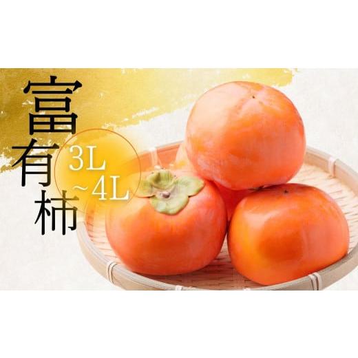 ふるさと納税 果物類 柿 岐阜県 本巣市 年内発送 令和7年産 訳あり 富有柿 3L〜4L サイズ 約3kg 11月中旬〜12月上旬発送予定 加藤果樹園 mt1691_25 |家庭用 …