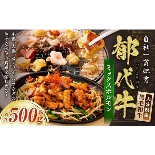 ふるさと納税 牛肉 ホルモン 大分県 九重町 自社一貫肥育・郁代牛ミックスホルモン(大分県産黒毛和牛) 約500g ミックスホルモン 牛ホルモン 肉 お肉 ホルモ…