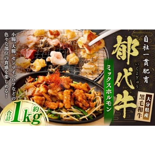 ふるさと納税 牛肉 ホルモン 大分県 九重町 自社一貫肥育・郁代牛ミックスホルモン(大分県産黒毛和牛) 約1kg ミックスホルモン 牛ホルモン 肉 お肉 ホルモン