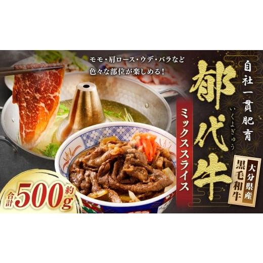 ふるさと納税 牛肉 セット 大分県 九重町 自社一貫肥育・郁代牛のミックススライス(大分県産黒毛和牛) 約500g モモ バラ ウデ 肩ロース 肉 お肉