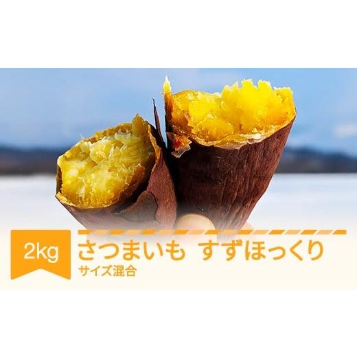 ふるさと納税 野菜類 サツマイモ 山形県 村山市 さつまいも すずほっくり 約2kg 村山市産 2025年産 令和七年 山形県産 芋 no-spshx2