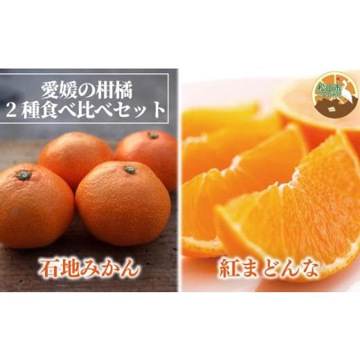 ふるさと納税 みかん・柑橘類 愛媛県 松山市 2026年1月発送予定 紅まどんな・石地みかん食べ比べセット 紅まどんな 約3kg 石地みかん(家庭用・優品) 約5kg | …