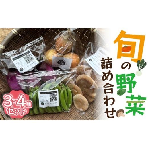ふるさと納税 セット・詰合せ 福岡県 宮若市 旬の野菜詰め合わせ 3〜4種セット M818 守田農園 季節 野菜 果物 詰め合わせ 九州 福岡 宮若市 ふるさと納税 お…