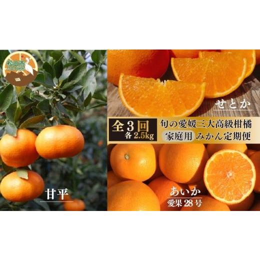 ふるさと納税 果物類 みかん 愛媛県 松山市 2025年12月上旬から発送 定期便 全3回 旬の愛媛三大高級柑橘 家庭用 愛果28号 せとか 甘平 約2.5kg | 柑橘 みかん…