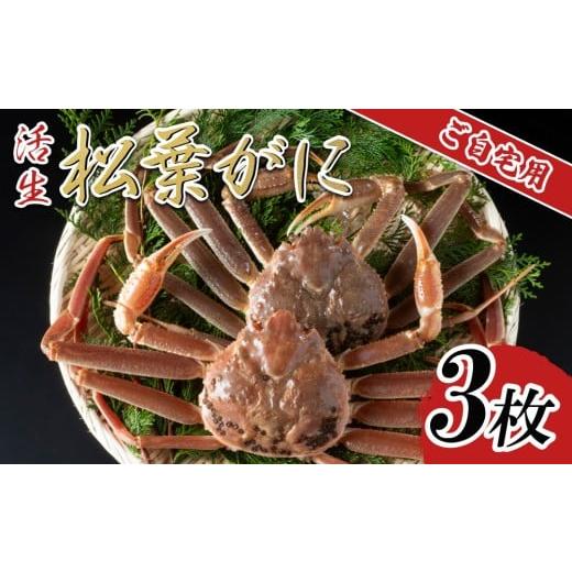 ふるさと納税 カニ 松葉ガニ 鳥取県 岩美町 活生 ご自宅用松葉ガニ 3枚 2025年11月〜順次発送予定|鳥取 日本海 松葉がに 松葉蟹 かに ズワイガニ 22056