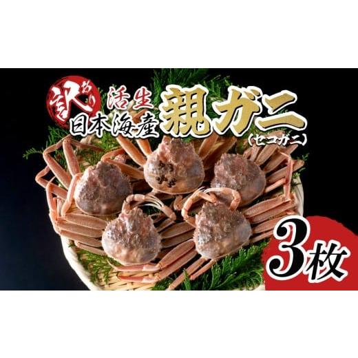 ふるさと納税 カニ 鳥取県 岩美町 先行予約 活生 訳あり ご自宅用 親ガニ(セコガニ)3枚 2025年11月〜順次発送|鳥取 岩美 日本海 かに 松葉ガニ ズワイガニ…