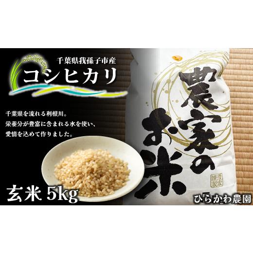ふるさと納税 玄米 千葉県 我孫子市 2026年1月10日以降出荷予定。無くなり次第終了 ひらかわ農園 EM菌で作った旨味たっぷりのお米・コシヒカリ・玄米5kg