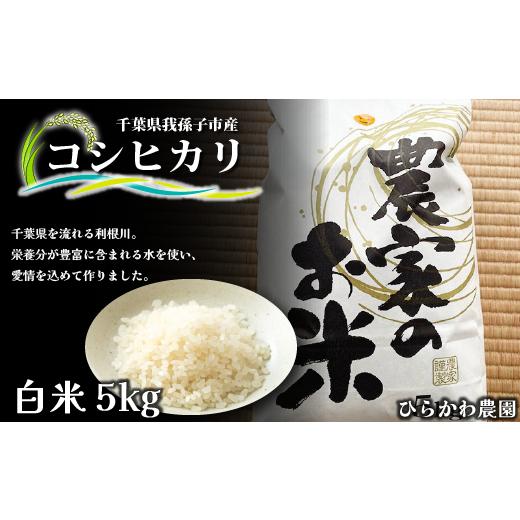ふるさと納税 米 コシヒカリ 千葉県 我孫子市 2026年1月10日以降出荷予定。無くなり次第終了 ひらかわ農園 EM菌で作った旨味たっぷりのお米・コシヒカリ・精米…