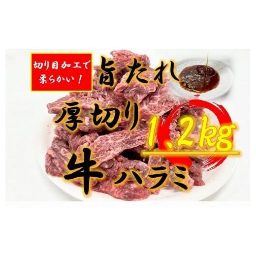 ふるさと納税 牛肉 焼肉・バーベキュー 香川県 坂出市 オリジナル焼肉のタレ漬け 厚切り牛ハラミ 1200g