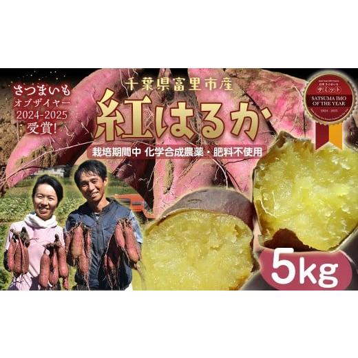 ふるさと納税 野菜類 サツマイモ 千葉県 富里市 先行予約 2026年1月から順次発送 さつまいも(紅はるか) 5kg TMAE001 / さつまいも サツマイモ 紅はるか べ…