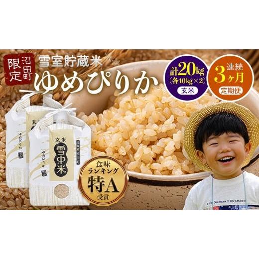 ふるさと納税 玄米 北海道 沼田町 数量限定 令和8年6月発送開始定期便 令和7年度産 春摺り 雪中米 ゆめぴりか 玄米 20kg (10kg×2袋) × 3回 計60kg 3か月…