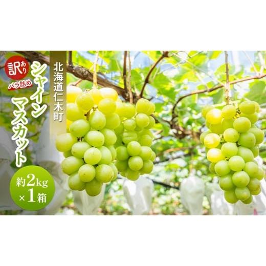 ふるさと納税 果物類 ぶどう 北海道 仁木町 先行受付 訳あり 北海道 仁木町 シャインマスカット 約2kg×1箱 ブドウ 葡萄 マスカット 果物 くだもの フルーツ …