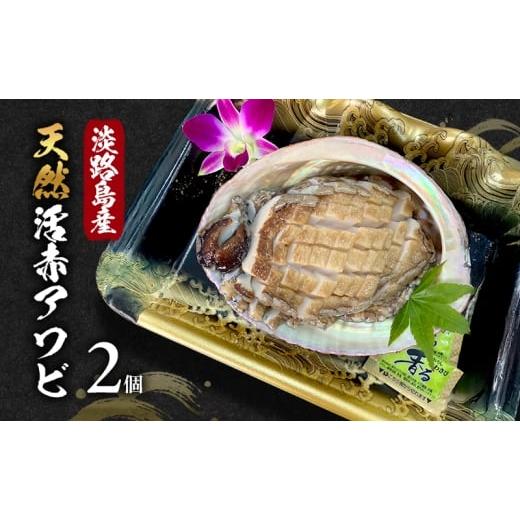 ふるさと納税 魚貝類 アワビ 兵庫県 洲本市 淡路島産天然活赤アワビ 2個 兵庫県 洲本市 淡路島  