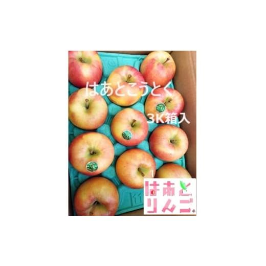 ふるさと納税 りんご 青森県 黒石市 青森県産りんご 「はあと」こうとく 3K箱 1539474