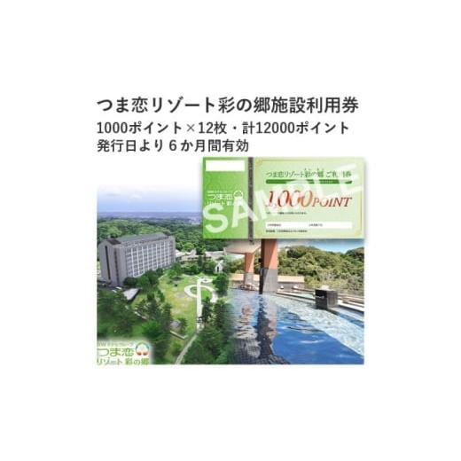 ふるさと納税 イベントやチケット等 静岡県 掛川市 つま恋リゾート彩の郷施設利用券 12000ポイント 1676015