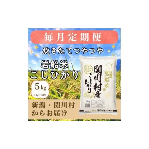 ふるさと納税 米 コシヒカリ 新潟県 関川村 毎月定期便 炊きたてつやつや 新潟関川村産 岩船米こしひかり 5kg 星山米店 全6回 4075491