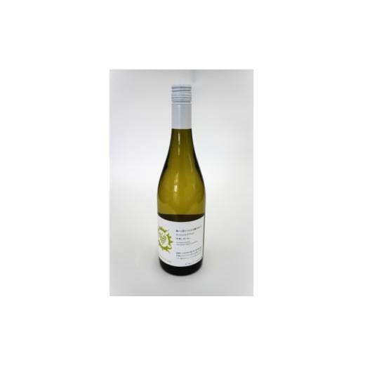 ふるさと納税 ワイン 白ワイン 宮城県 - 南三陸ワイナリー シャルドネ 白(辛口) 750ml×1本 1614117