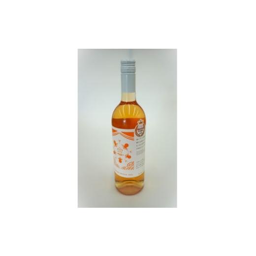 ふるさと納税 ワイン 宮城県 - 南三陸ワイナリー デラウェア・オレンジ (辛口) 750ml×1本 1614119