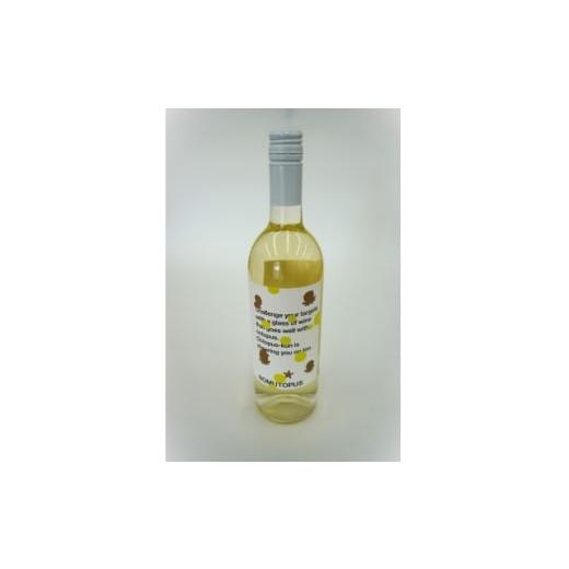 ふるさと納税 ワイン 白ワイン 宮城県 - 南三陸ワイナリー ノムトパス 白(辛口) 750ml×1本 1614120