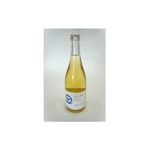 ふるさと納税 ワイン 白ワイン 宮城県 - 南三陸ワイナリー デラウェア・スパークリング 白(辛口) 750ml×1本 1614123
