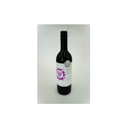 ふるさと納税 ワイン 赤ワイン 宮城県 - 南三陸ワイナリー マスカット・べーリーA 赤(辛口) 750ml×1本 1614124